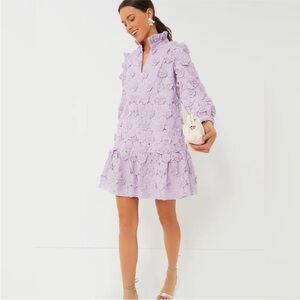 Tuckernuck “Palmerston” Dress XL